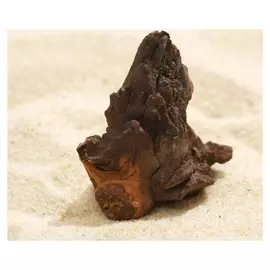 Африканское дерево Barbus мопани 5см