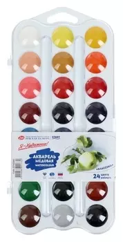 Акварель медовая 24 цвета пластик ЗХК "Я - художник!"