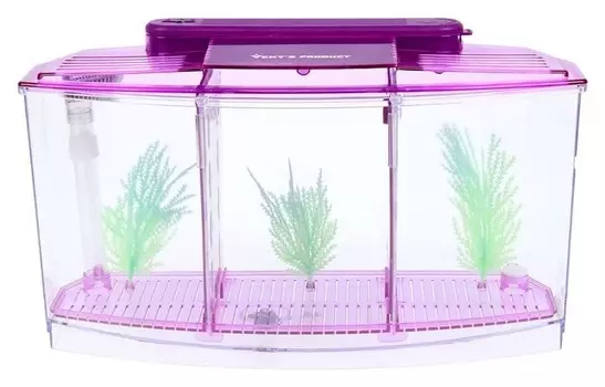 Аквариум-отсадник трехсекционный с подсветкой и светящимися растениями, фиолетовый