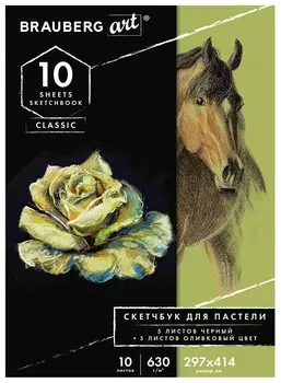 Альбом для пастели, картон черный+оливковый 630 г/м2, 297x414 мм, 5+5 листов, Brauberg Art, 105924