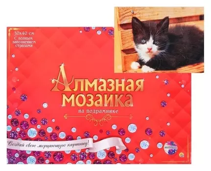 Алмазная мозаика 30 × 40 см, полное заполнение, с подрамником «Чёрно-белый котёнок»