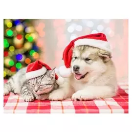 Алмазная мозаика, 30×40 см, без подрамника, с полным заполнением, 30 цв. «Новогодний котёнок и щенок»