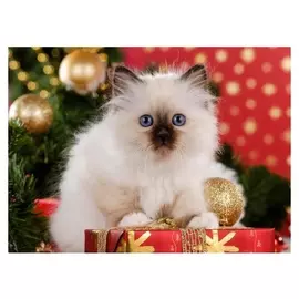 Алмазная мозаика, 30×40 см, без подрамника, с полным заполнением, 34 цв. «Котёнок и подарок»