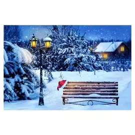 Алмазная мозаика, 30×40 см, без подрамника, с полным заполнением, 34 цв. «Снежный парк»