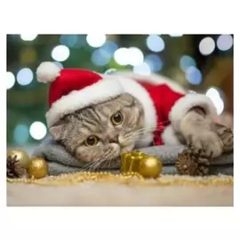 Алмазная мозаика 30×40 см, C подрамником, с полным заполнением, 28 цв. «Милый новогодний котик»