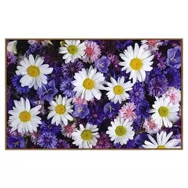 Алмазная мозаика "Цветочный", 31 цвет