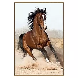 Алмазная мозаика "Дикий конь", 23 цвета
