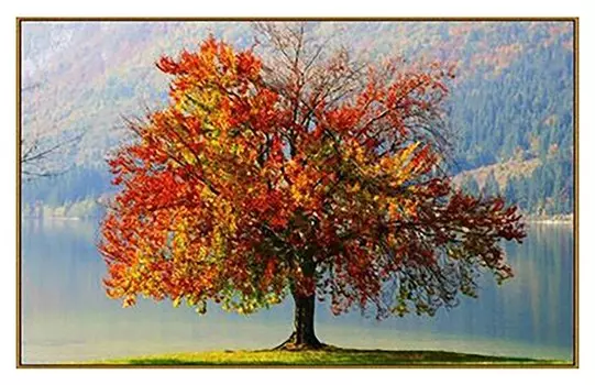 Алмазная мозаика "Древо жизни", 25 цветов