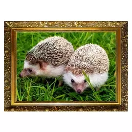 Алмазная мозаика "Колючая парочка" 29,5×20,5см, 24 цвета