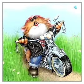 Алмазная мозаика «Котоциклист» 35×35 см, 41 цветов