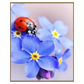 Алмазная мозаика «Незабудки», 29 цветов