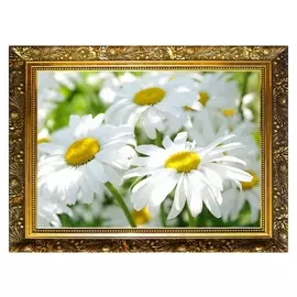 Алмазная мозаика "Ромашки" 29,5×20,5 см, 25 цветов