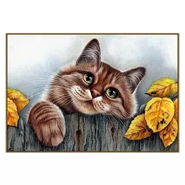 Алмазная мозаика "Рыжий кот", 31 цвет