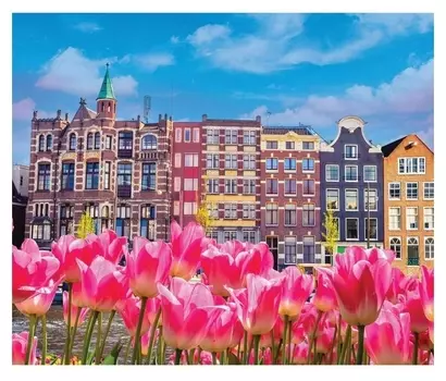 Алмазная вышивка с частичным заполнением «Дома с тюльпанами» 50x60 см, на раме