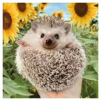 Алмазная вышивка с частичным заполнением «Ёжик» 20х20 см, на раме