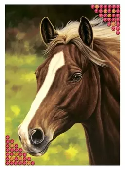 Алмазная вышивка с частичным заполнением «Лошадь», 15 х 21 см. набор для творчества