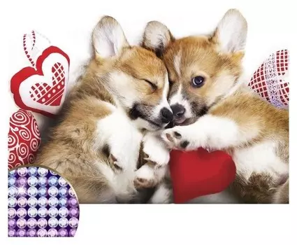 Алмазная вышивка с частичным заполнением «Малыши корги» 30х40 см, холст, ёмкость