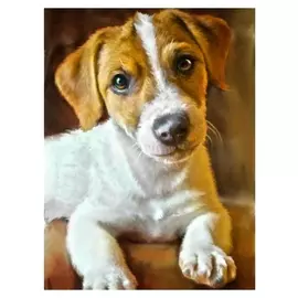 Алмазная вышивка с частичным заполнением на раме «Пёс», 30 х 40 см. набор для творчества