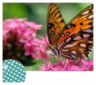 Алмазная вышивка с полным заполнением «Бабочка», 22 х 32 см. набор для творчества