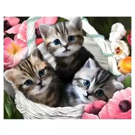 Алмазная вышивка с полным заполнением «Котята» 50x60 см, на раме