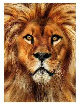 Алмазная вышивка с полным заполнением «Лев» 15х21 см, на холсте