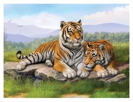 Алмазная вышивка с полным заполнением на холсте «Тигры» 30х40 см
