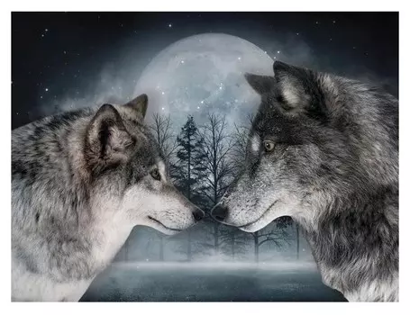 Алмазная вышивка с полным заполнением на холсте «Волки» 30х40 см