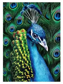 Алмазная вышивка с полным заполнением «Павлин» 15х21 см, на холсте
