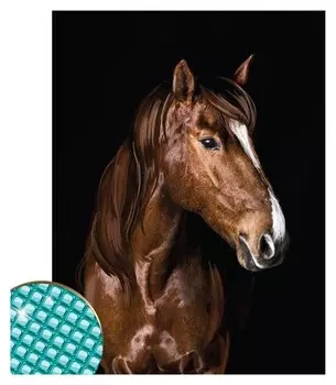 Алмазная вышивка с полным заполнением «Жеребец» 30х40 см, холст, ёмкость