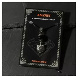 Амулет "Агат чёрный" на защиту и силу, тигр, цвет чернёное серебро