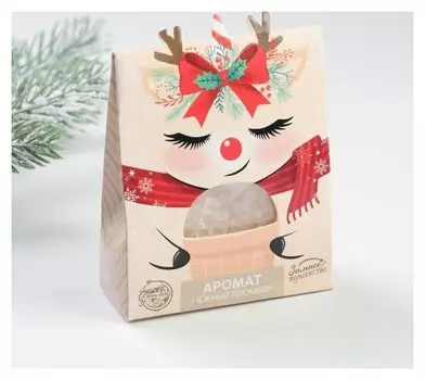 Аромасаше «Чудеса ждут», 8 х 10 см