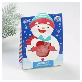 Аромасаше «Снеговик», 8 х 10 см