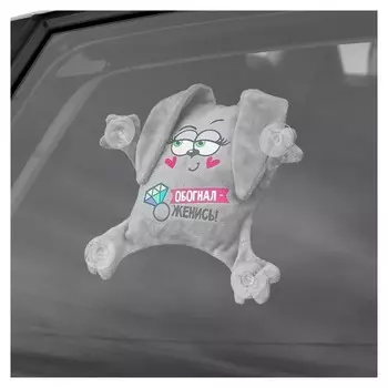 Автоигрушка «Обогнал - женись», на присосках, зайка