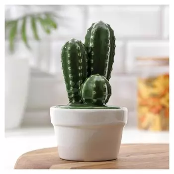 Банка для сыпучих продуктов доляна «Кактус», 170 мл