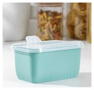 Банка для сыпучи× продуктов «Цветик», 2 отделения, 2 ложки 17×11×9 см