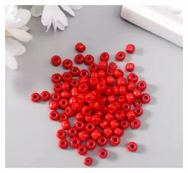 Бисер круглый 6/0 "Рябина" 20 гр