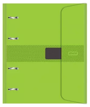 Бизнес-тетрадь со смен.блоком 120л,кл,а5, салатовый,пропилен.обл.налипучке