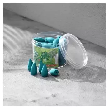 Благовония конусные "Мятный аромат", пуля, 40 капсул