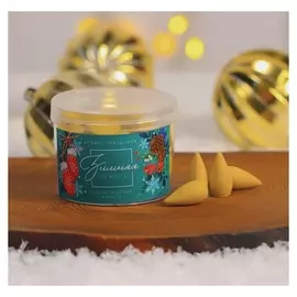 Благовония в форме конусов «Зимняя свежесть», 40 шт