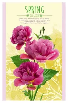 Блокнот а5,32л,клетк,скрепк,обл.мел.карт. прелестный букет б32-45796видов