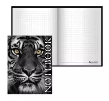 Блокнот А6 80л. тигровый