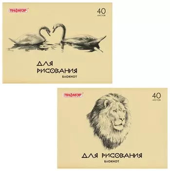 Блокнот для рисования, А4, 40 листов, обложка офсет, горизонтальный, Лебеди/лев