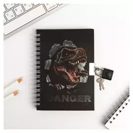 Блокнот на замочке А6, 50 л "Danger"