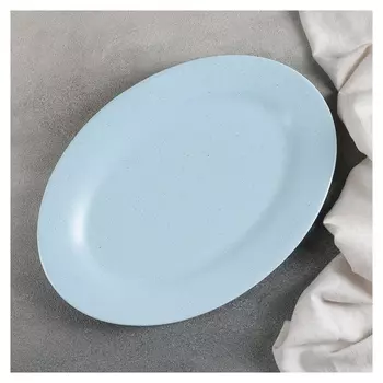 Блюдо «Амелия», 29,5×20,5 см, цвет голубой