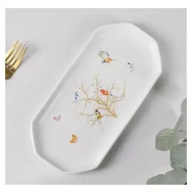 Блюдо овальное «Колибри», 24×11,5×2 см, цвет белый