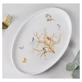 Блюдо овальное «Колибри», 29×19×2 см, цвет белый