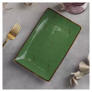 Блюдо прямоугольное «Созвездие», 22×14 см