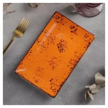 Блюдо прямоугольное «Созвездие», 22×14 см