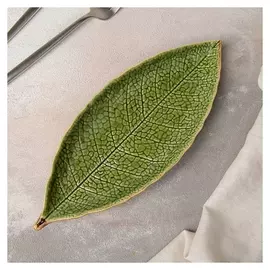 Блюдо сервировочное «Дендрарий», 26×10,5×1,5 см