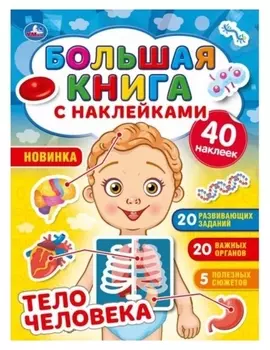 Большая книга с наклейками «Тело человека»